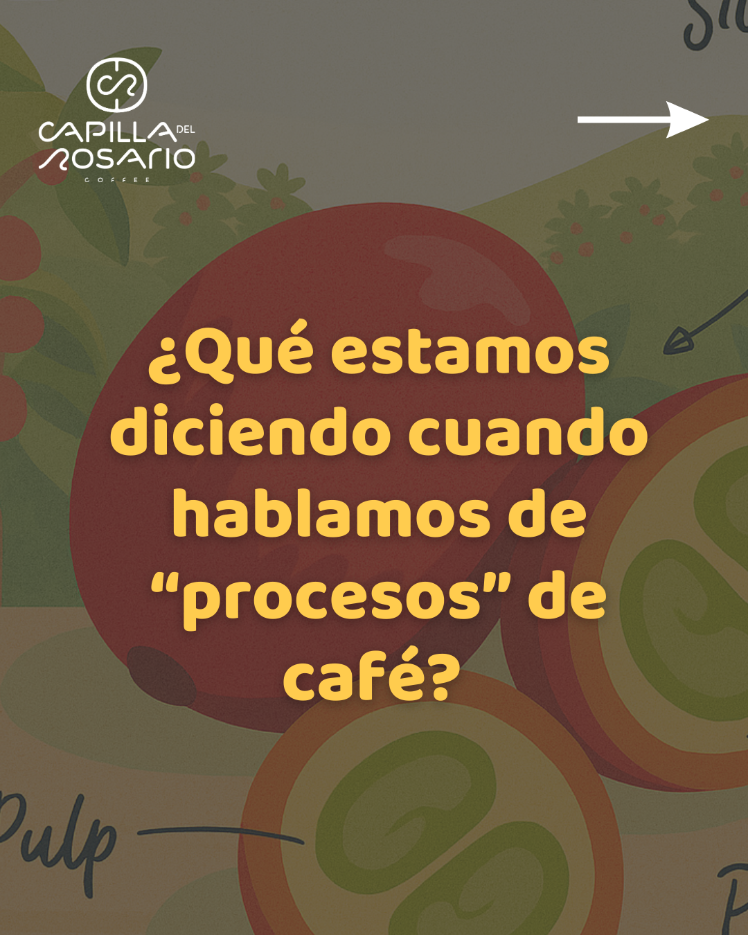 Crafting a clearer language for specialty coffee processing