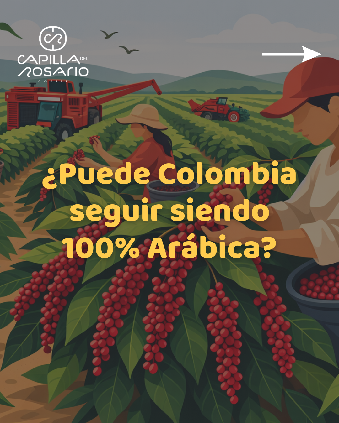 Can Colombia afford to stay Arabica-only?