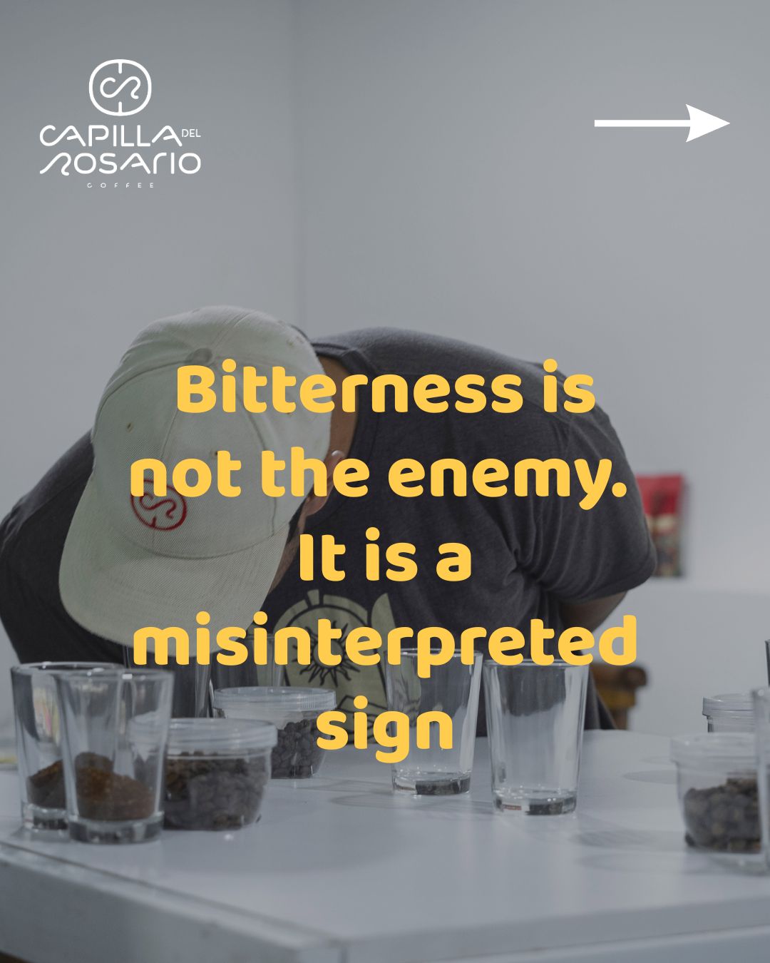 Sin dulces mentiras: La verdad científica sobre el amargor del café