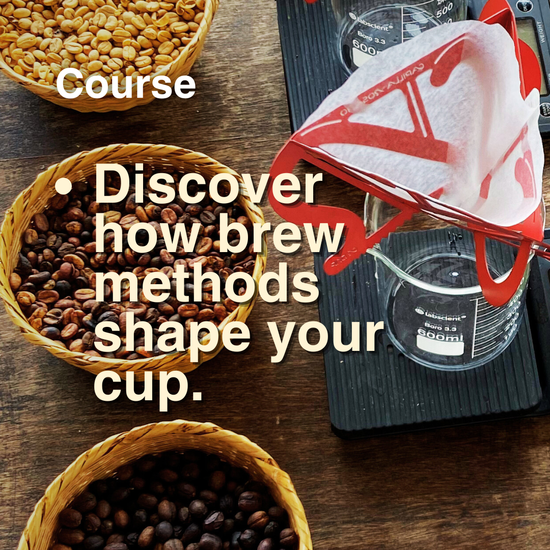 Coffee Brewing Basics: Explore How To Make Coffee Your Way