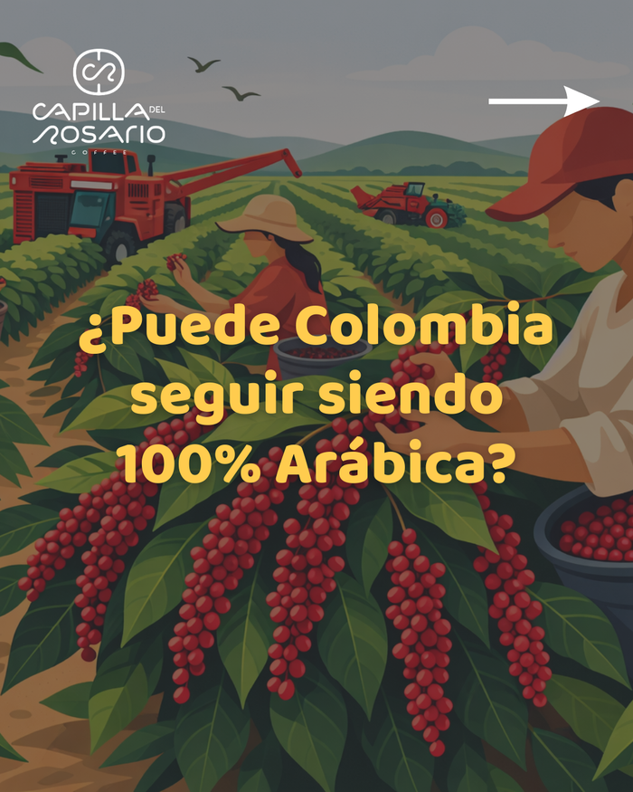 ¿Puede Colombia permitirse seguir siendo solo de arábica?