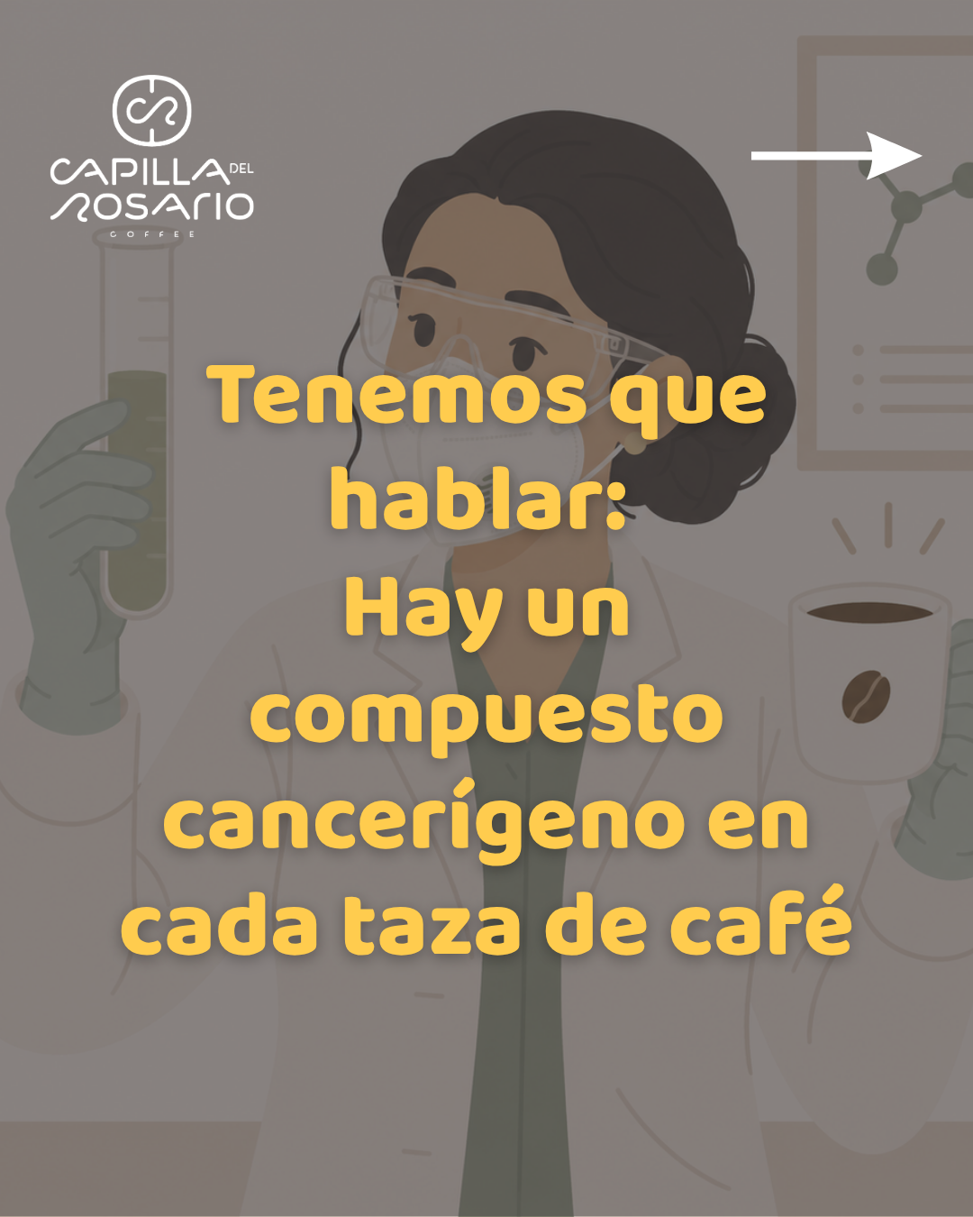 Por qué los toxicólogos no se trasnochan pensando en el café
