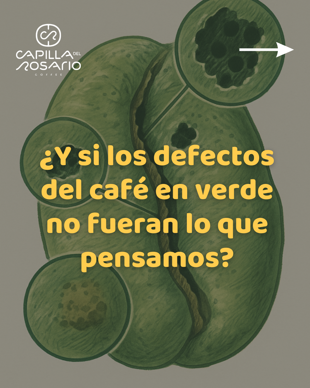 Rethinking green coffee grading: From what we see to what we taste