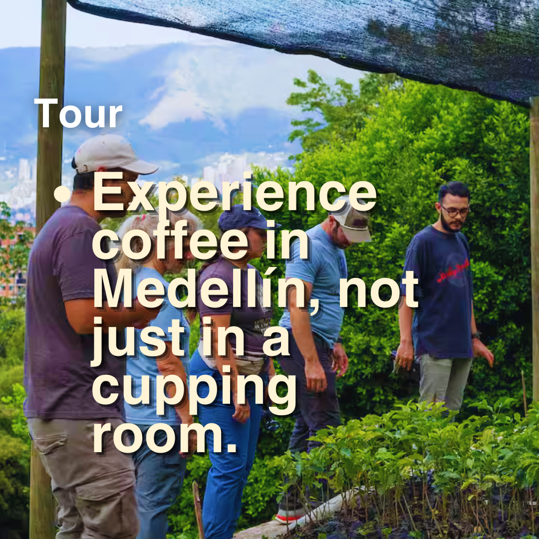 Express Coffee Tour