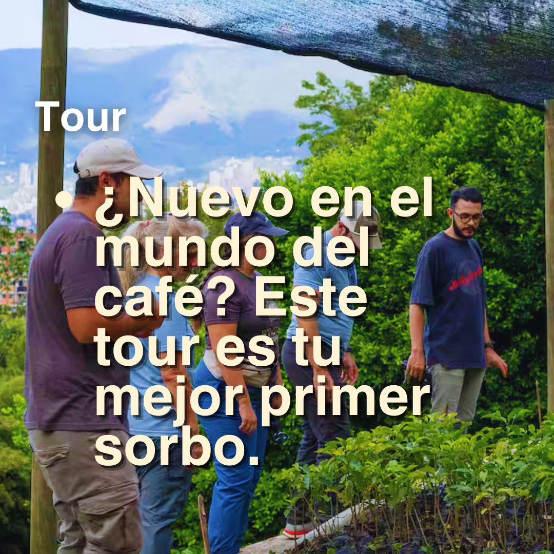Express Coffee Tour