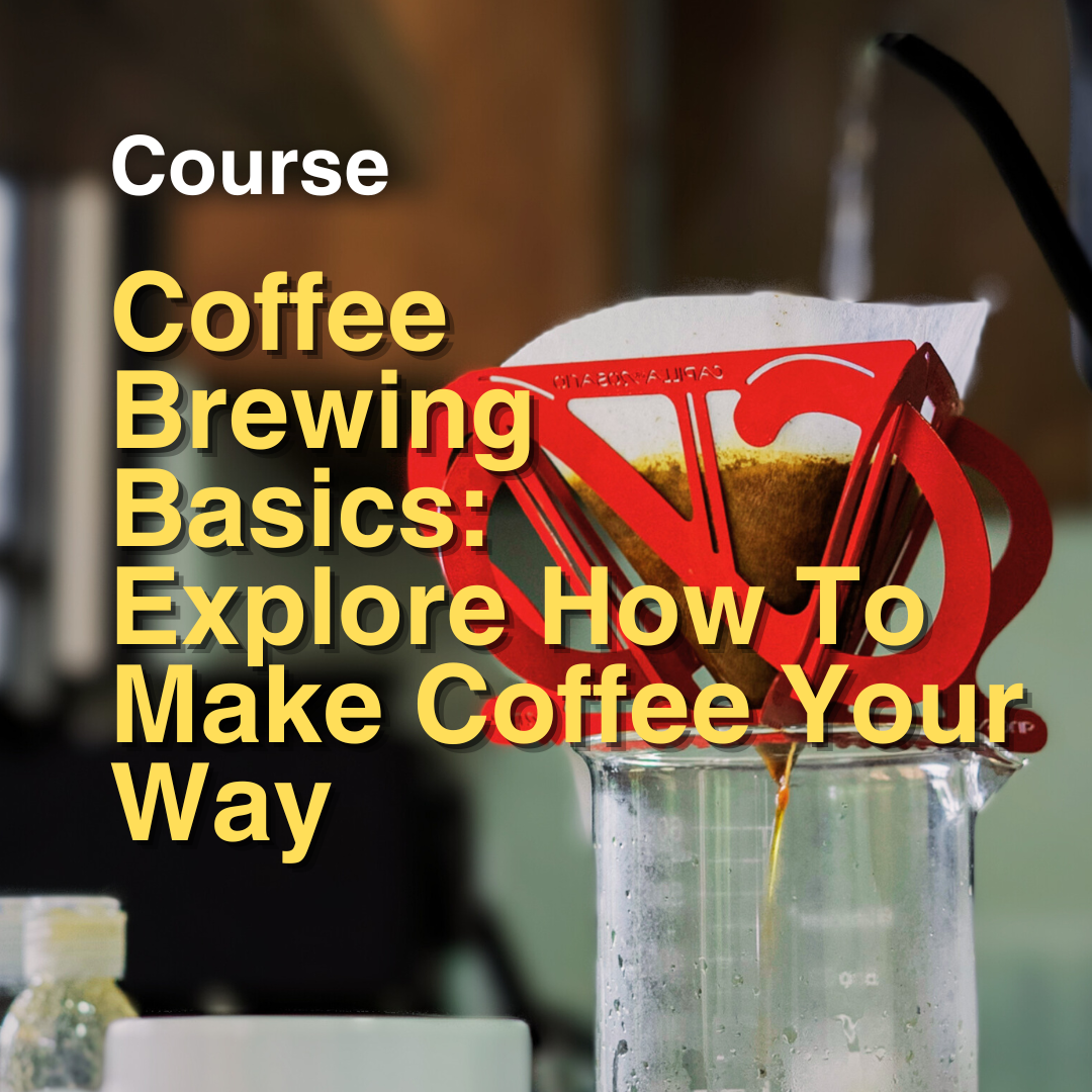 Coffee Brewing Basics: Explore How To Make Coffee Your Way