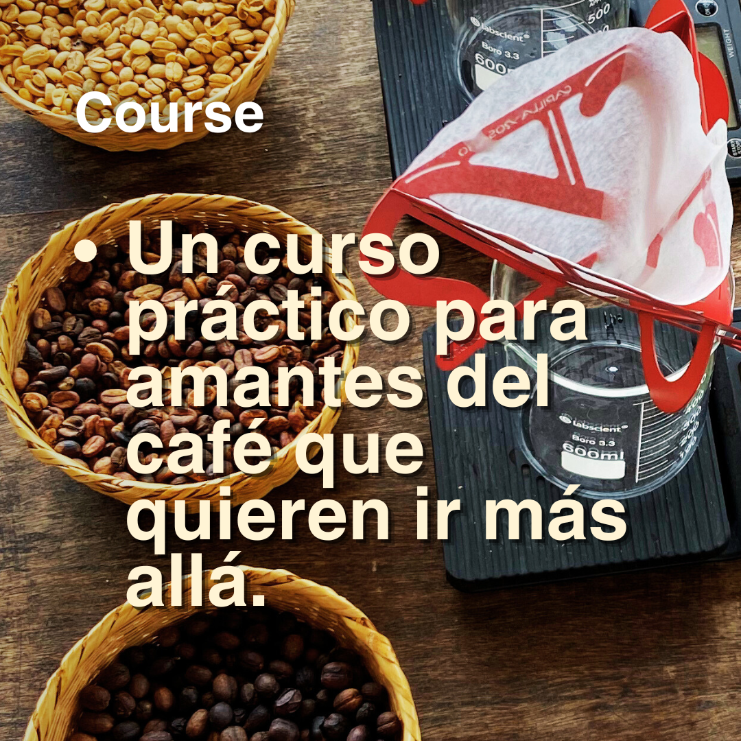 Coffee Brewing Basics: Explore How To Make Coffee Your Way