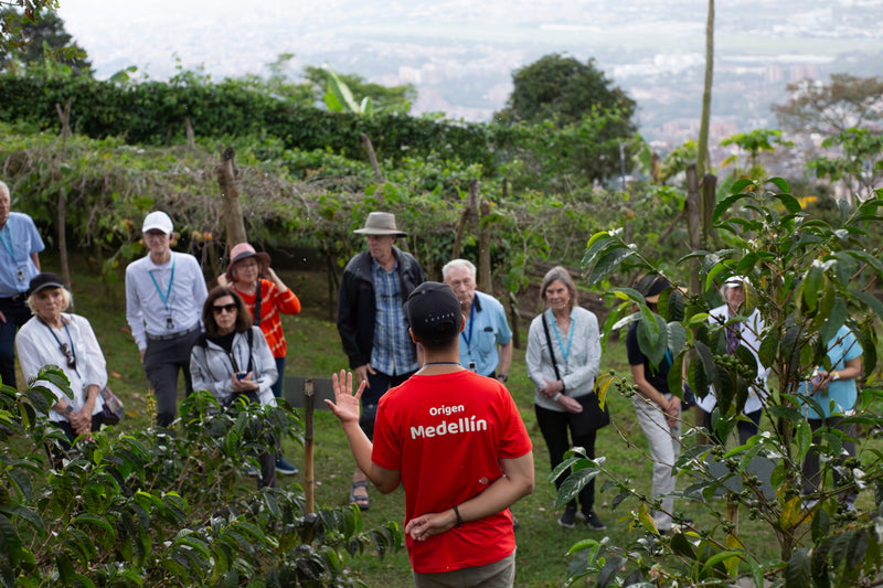 Planta de beneficio