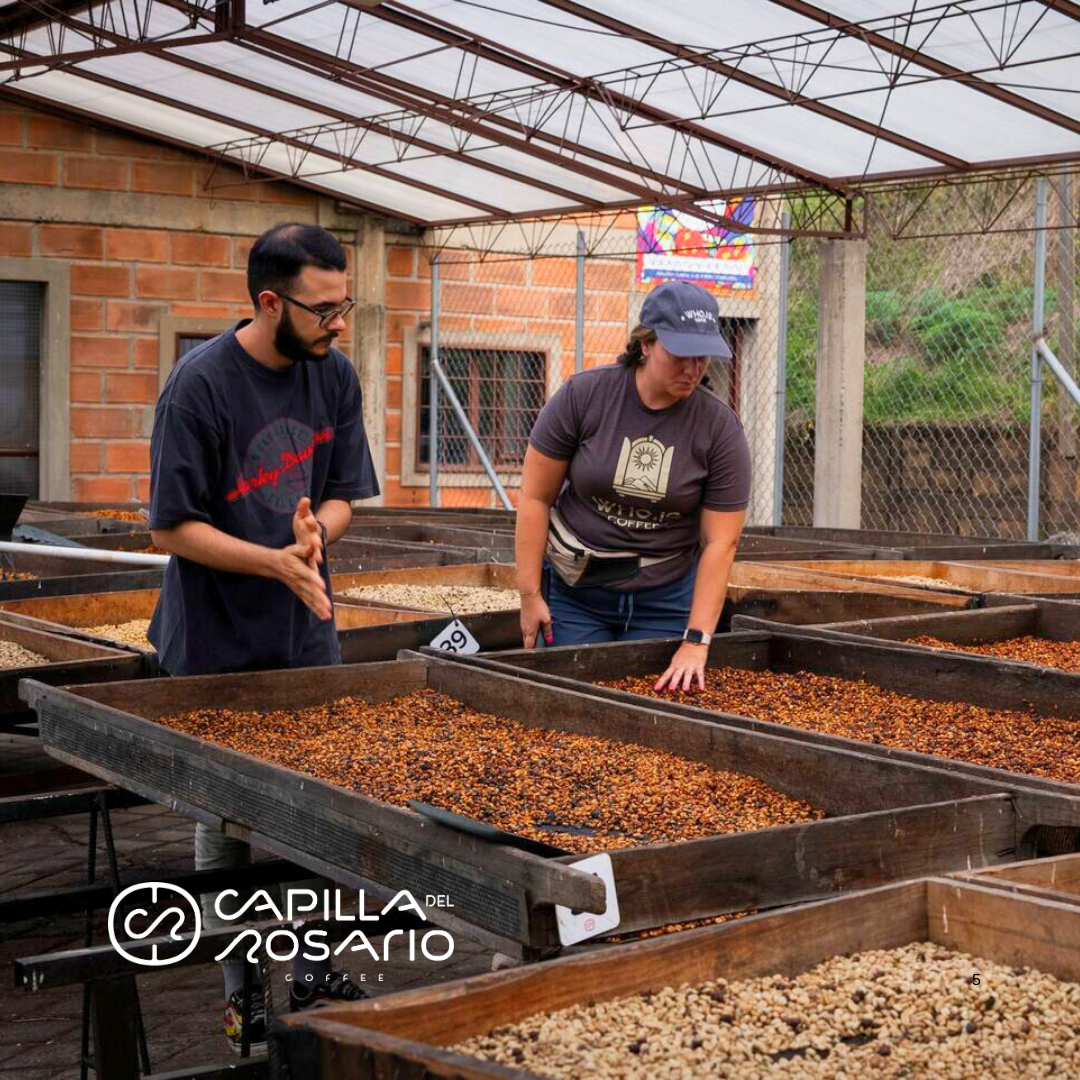 Express Coffee Tour