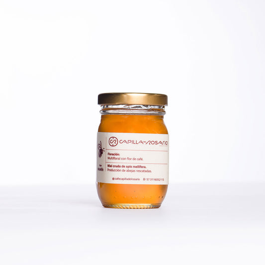 Stingless Bee Honey (Angelita)