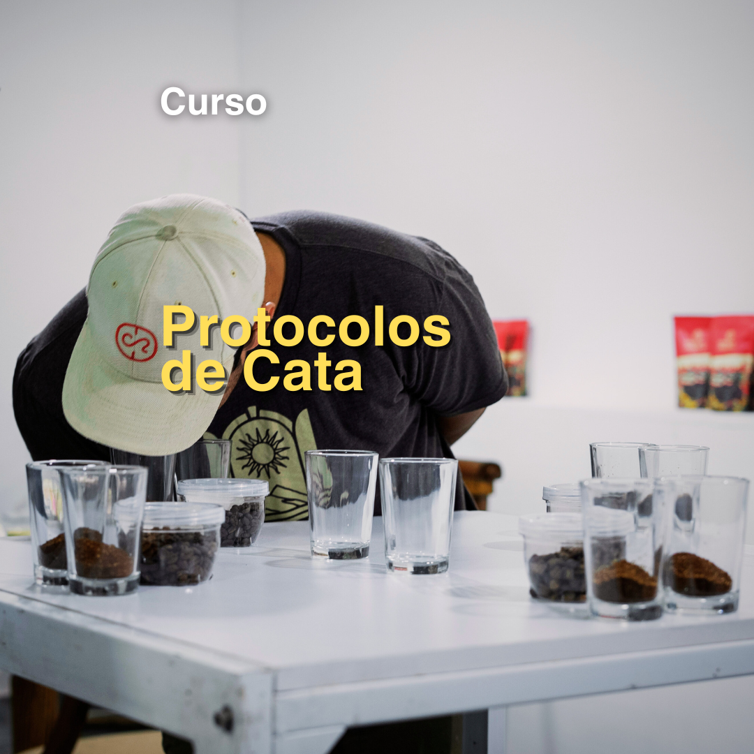 Coffee Cupping: A Journey into Flavor Perception