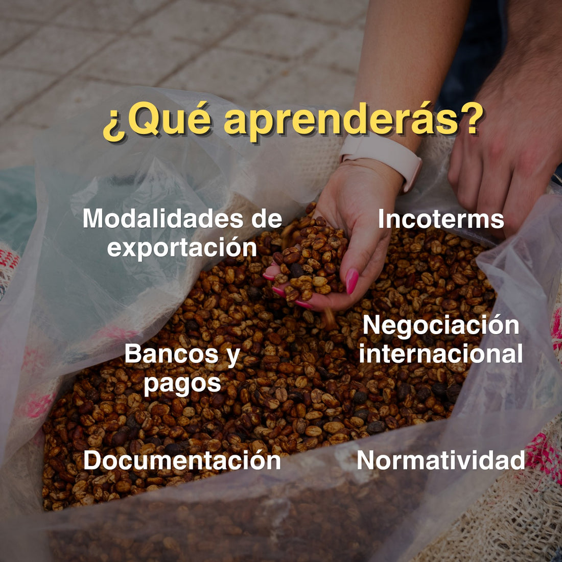 Tour Express