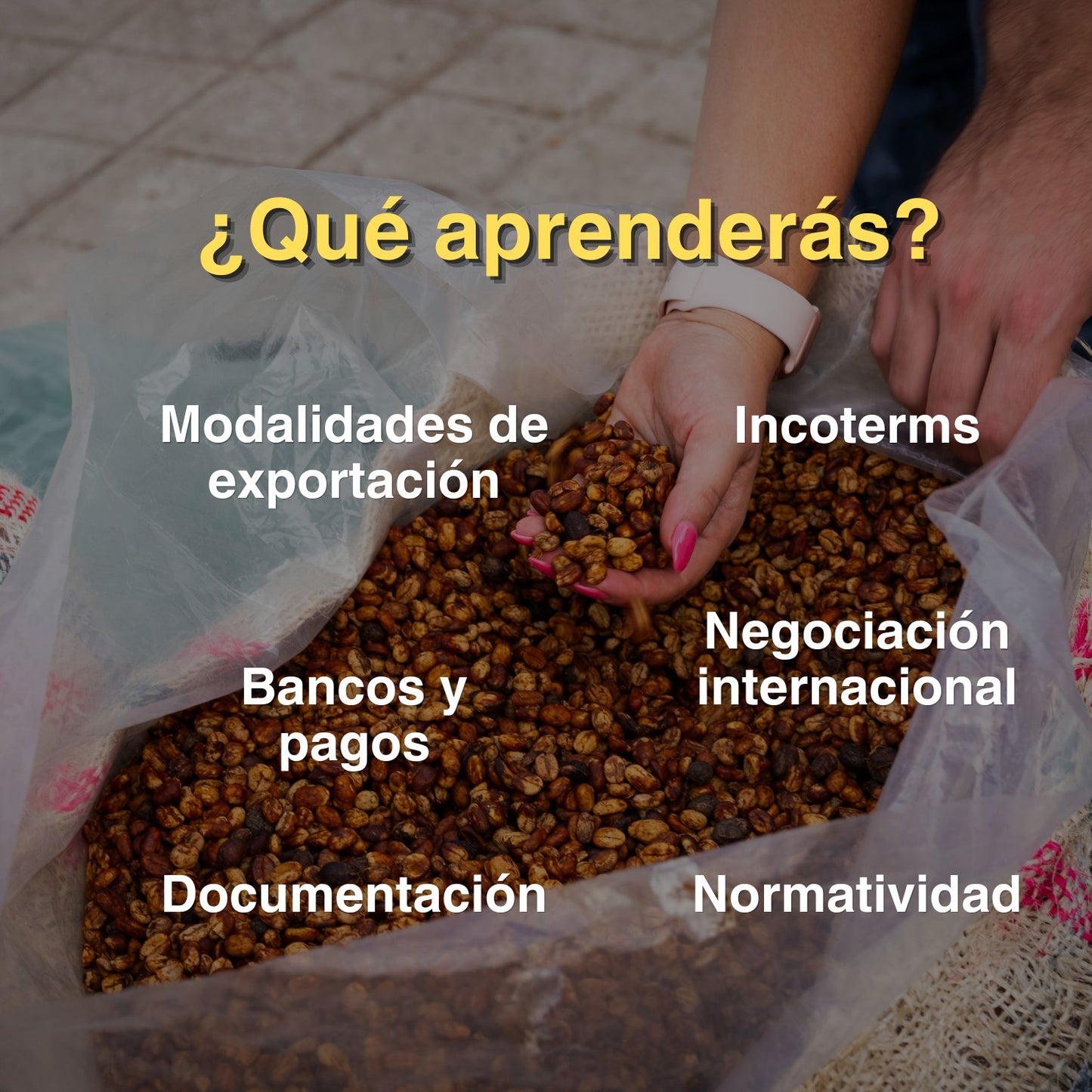 Introduction to Export Logistics for Entrepreneurs