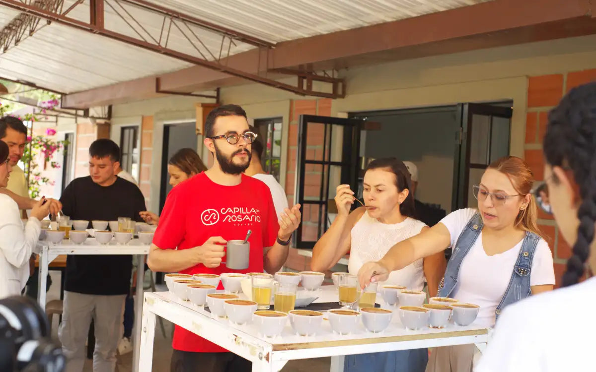 Coffee tasting: a journey through the perception of flavor